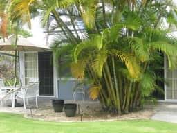 Monet: Cozy unit with AC on next to famous Kailua beach! - Image 2