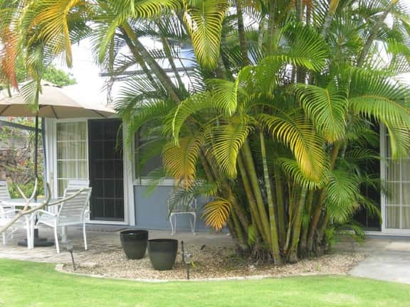 Monet: Cozy unit with AC on next to famous Kailua beach! - Image 2
