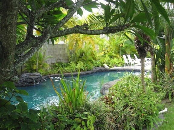 Tropical Breeze